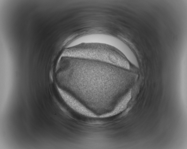 X0000083580062200703091707