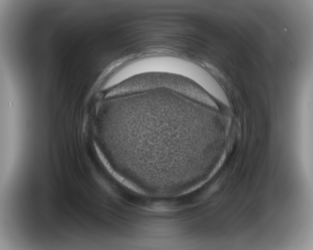 X0000083580064200703091707