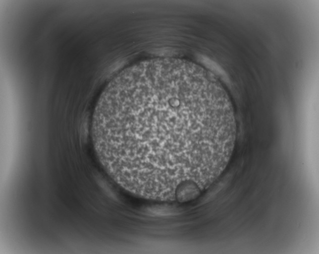 X0000083580065200703091707