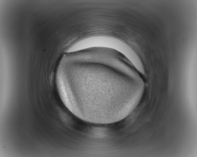 X0000083580066200703091707