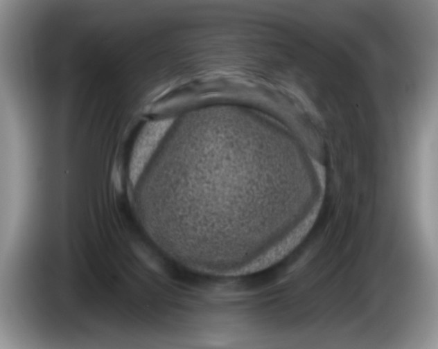 X0000083580068200703091707