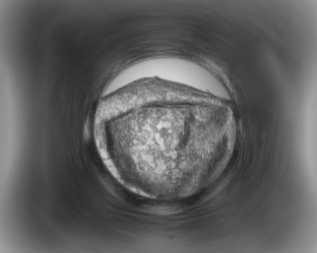 X0000083580069200703091707