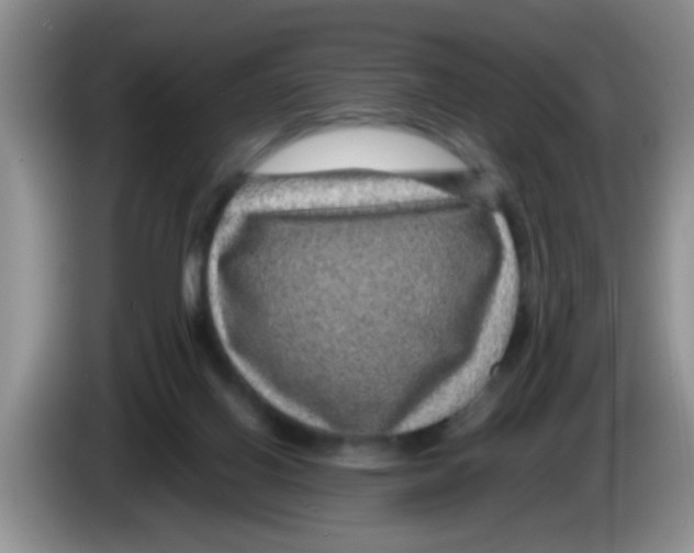 X0000083580070200703091707