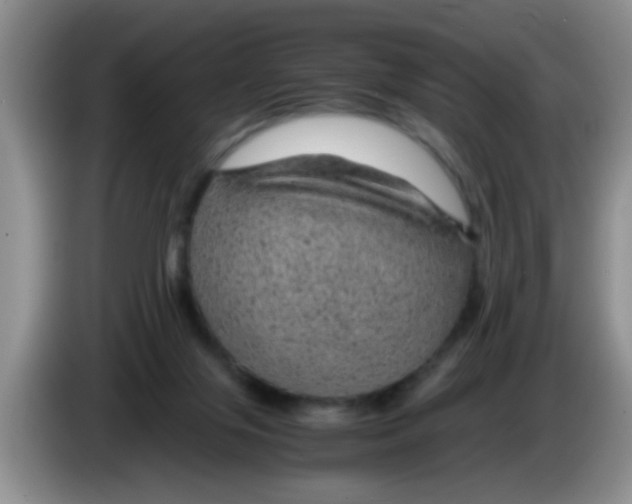 X0000083580071200703091707