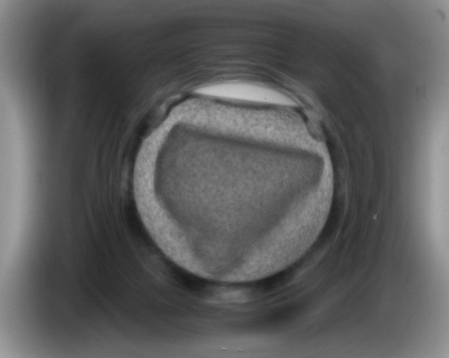 X0000083580073200703091707