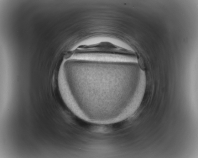 X0000083580074200703091707