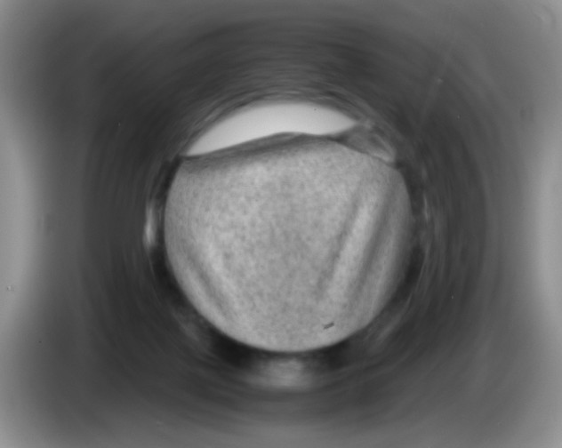 X0000083580075200703091707