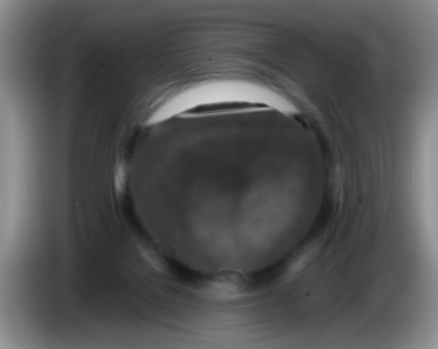 X0000083580076200703091707