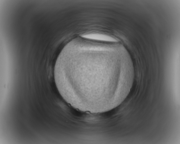 X0000083580077200703091707