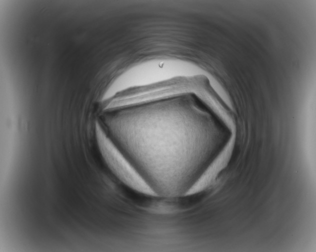 X0000083580078200703091707