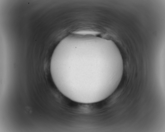 X0000083580079200703091707