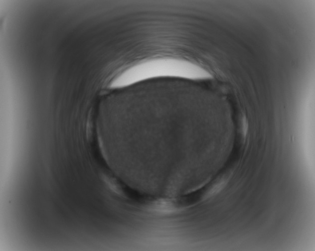 X0000083580080200703091707