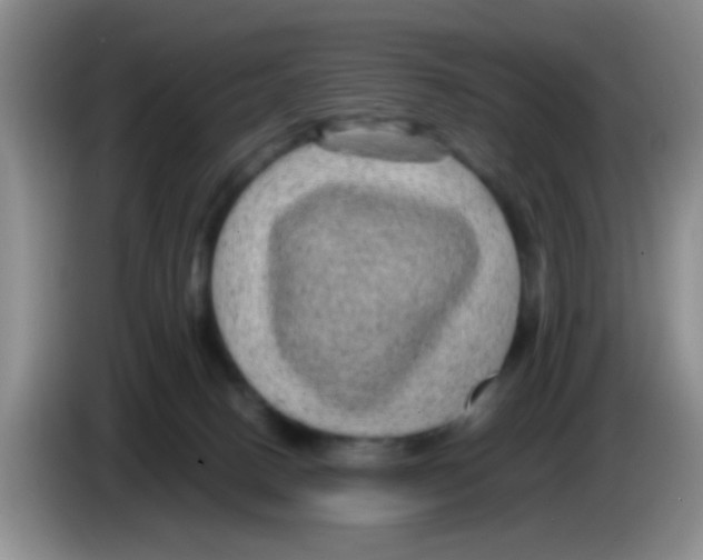 X0000083580082200703091707