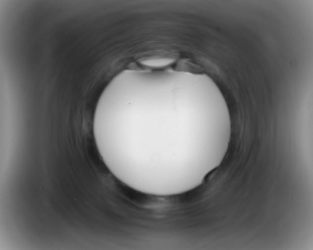 X0000083580083200703091707