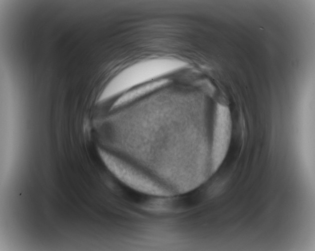 X0000083580084200703091707