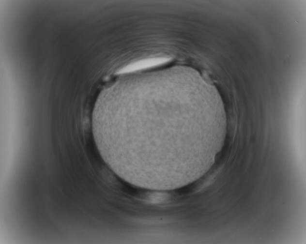 X0000083580085200703091707