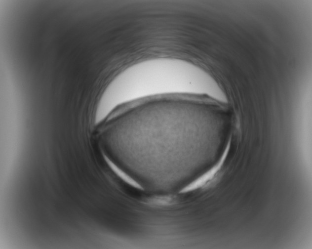 X0000083580086200703091707