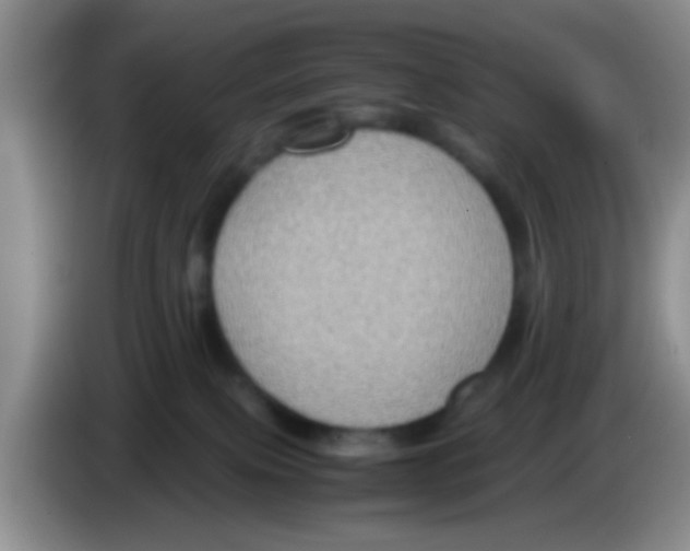X0000083580087200703091707