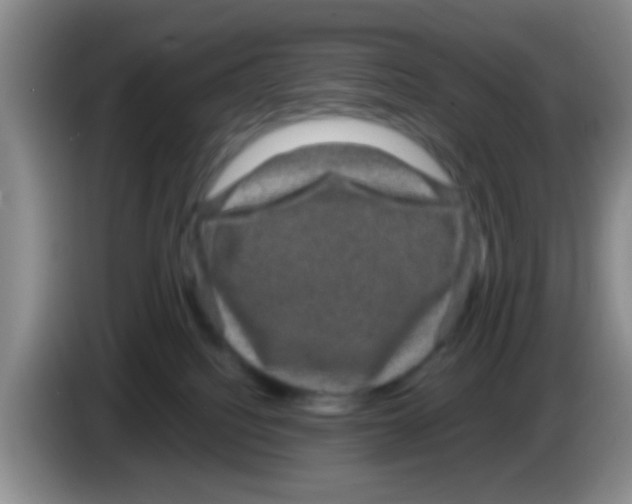 X0000083580088200703091707