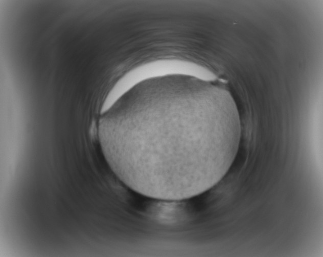 X0000083580089200703091707