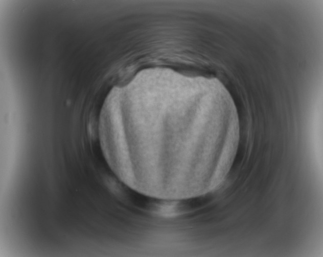 X0000083580090200703091707