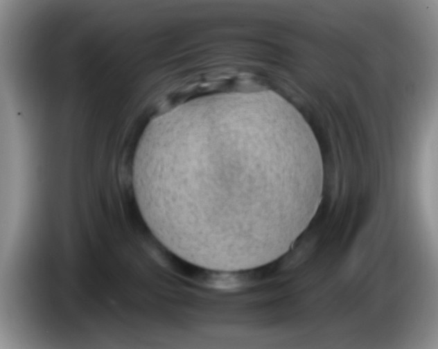 X0000083580091200703091707