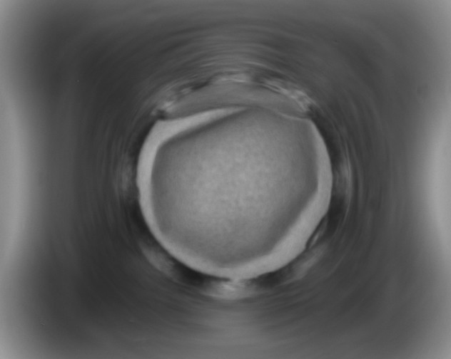 X0000083580092200703091707