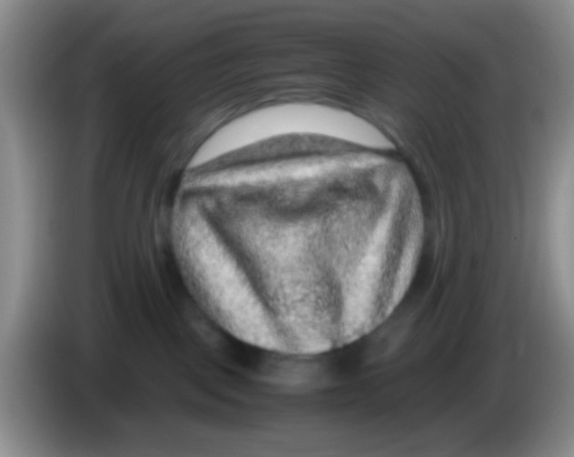 X0000083580093200703091707
