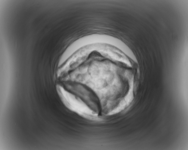 X0000083580094200703091707