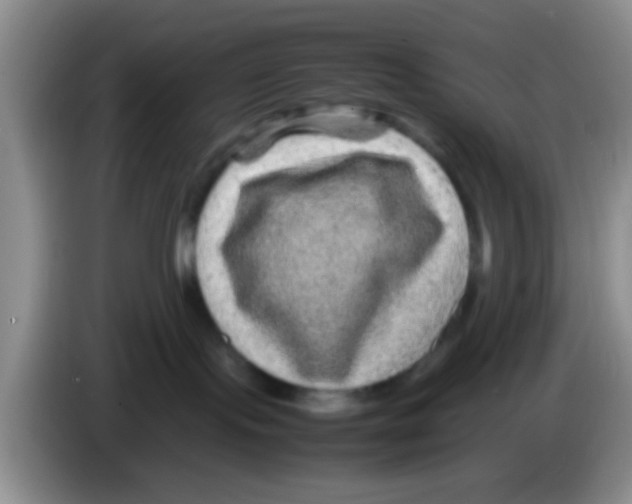 X0000083580095200703091707