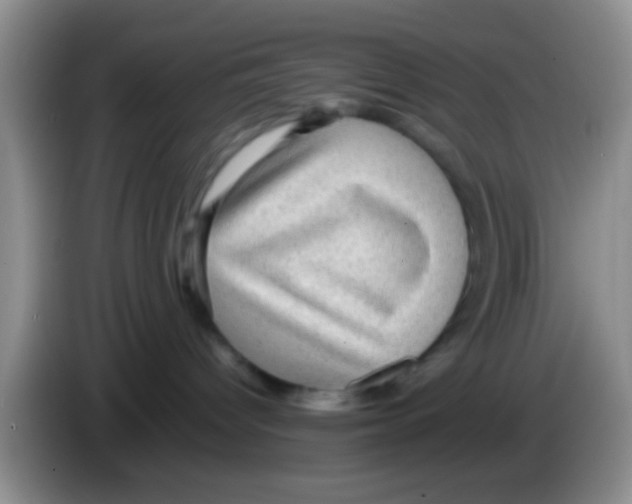 X0000083580096200703091707