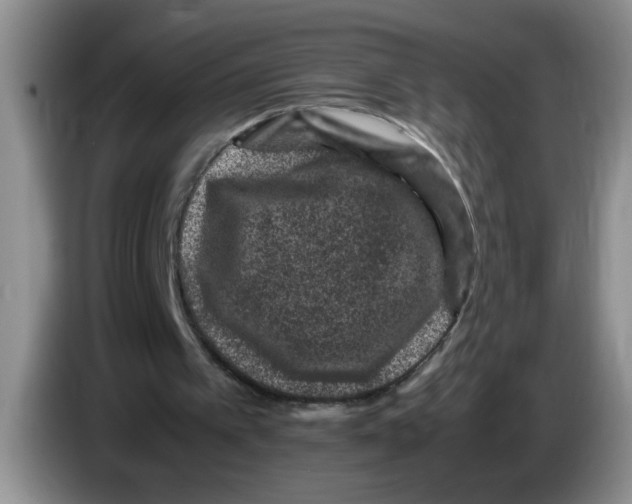 X0000083580097200703091707