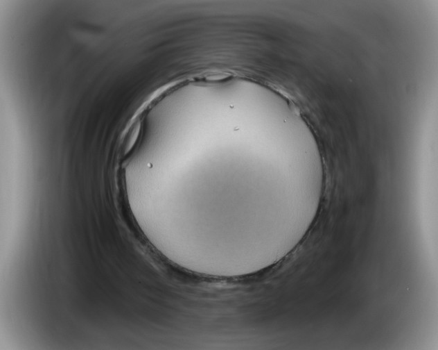 X0000083580098200703091707