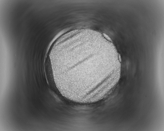 X0000083580100200703091707