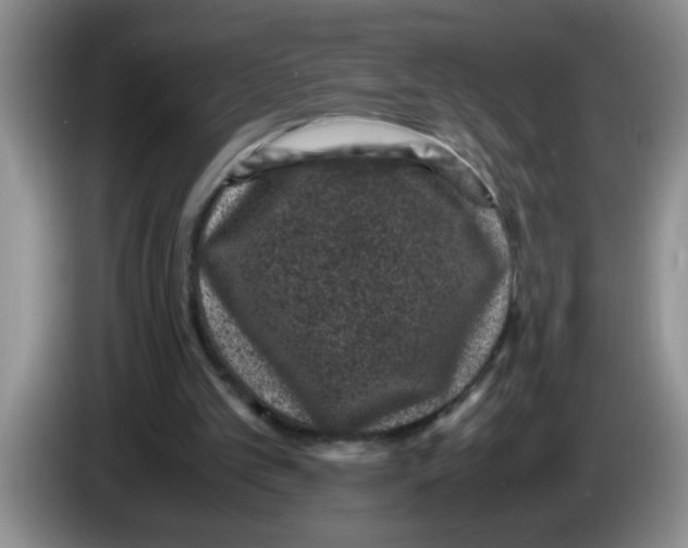 X0000083580101200703091707