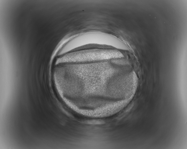 X0000083580102200703091707