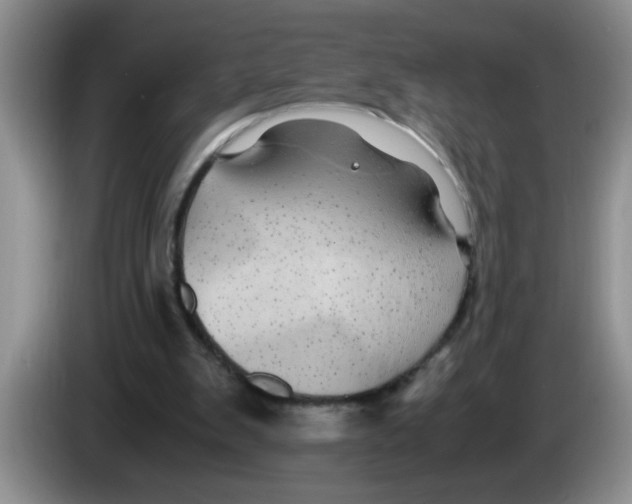 X0000083580103200703091707