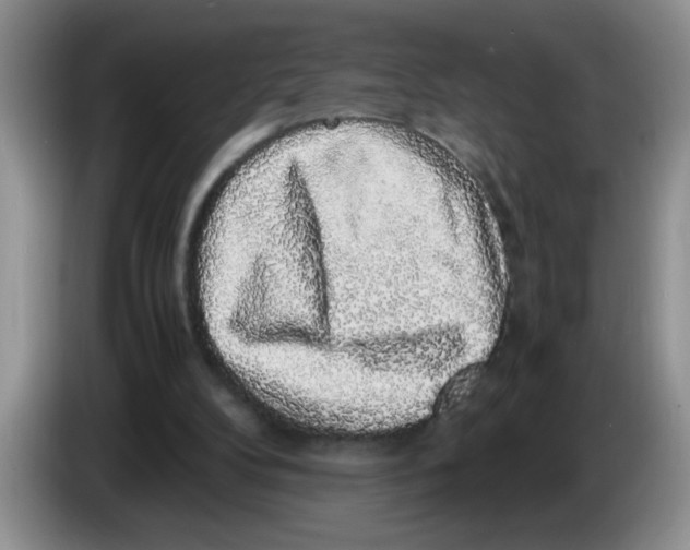 X0000083580104200703091707