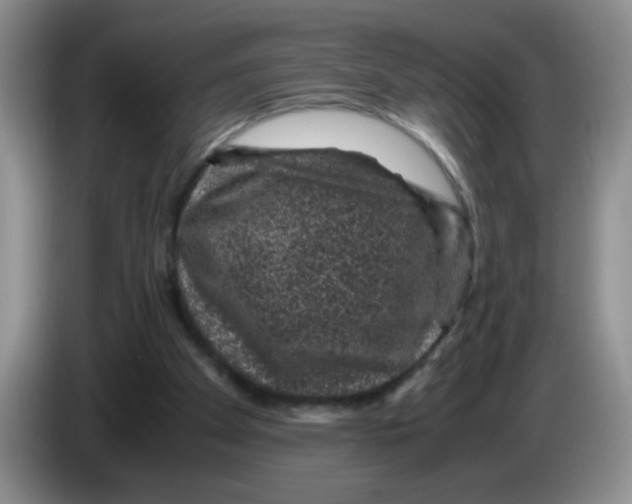 X0000083580105200703091707