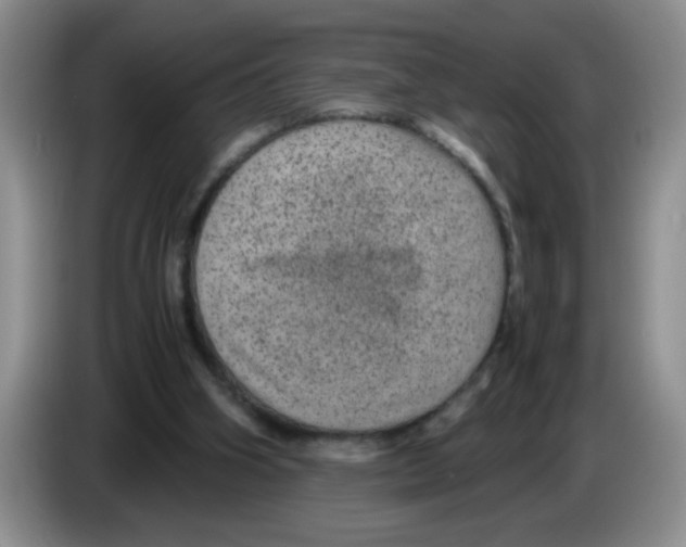 X0000083580106200703091706
