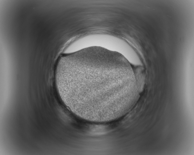 X0000083580107200703091706