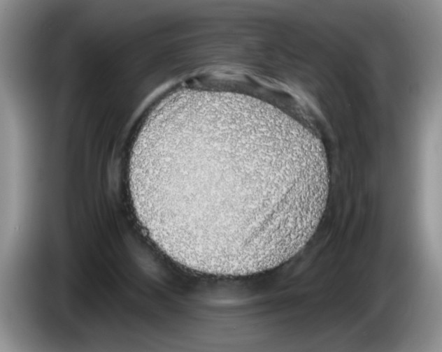 X0000083580108200703091706