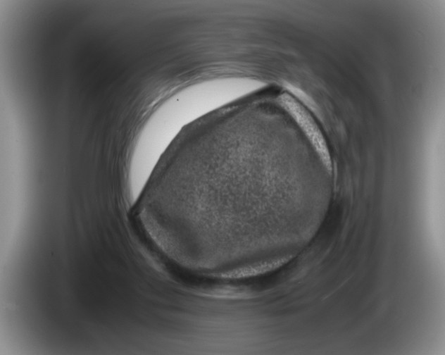 X0000083580109200703091706