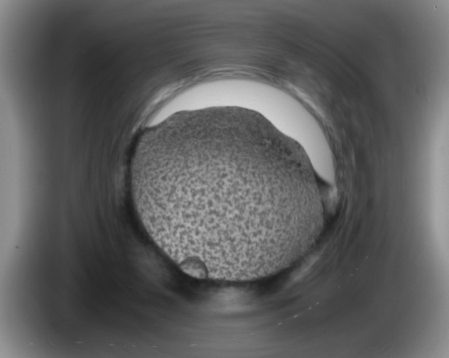X0000083580111200703091706