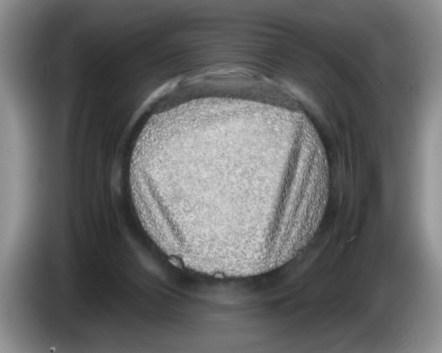 X0000083580112200703091706