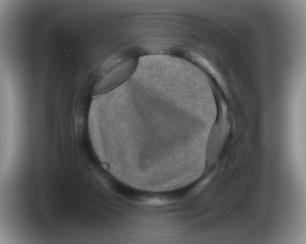X0000083580113200703091706