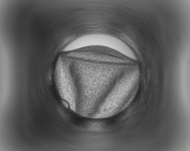 X0000083580115200703091706