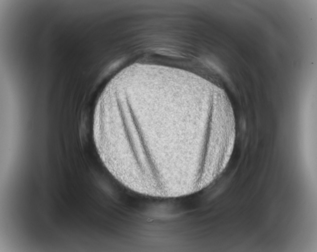 X0000083580116200703091706