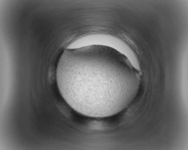 X0000083580119200703091706