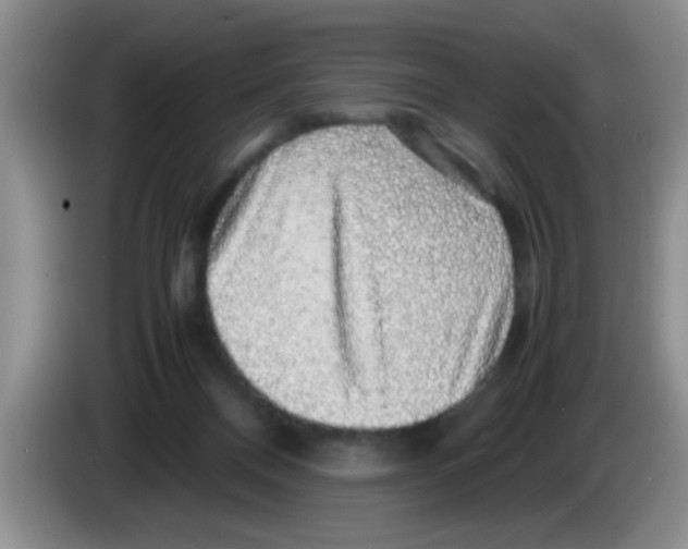 X0000083580120200703091706